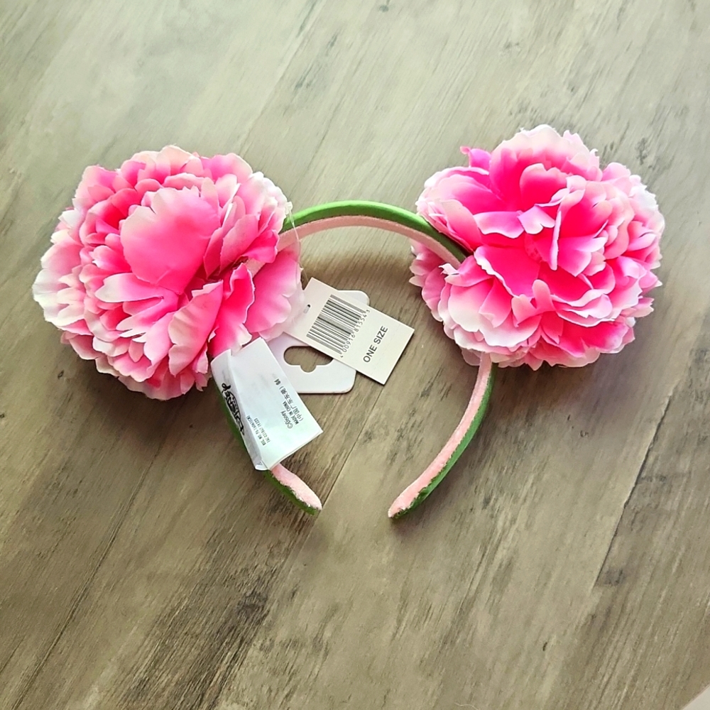 Mickey Ears